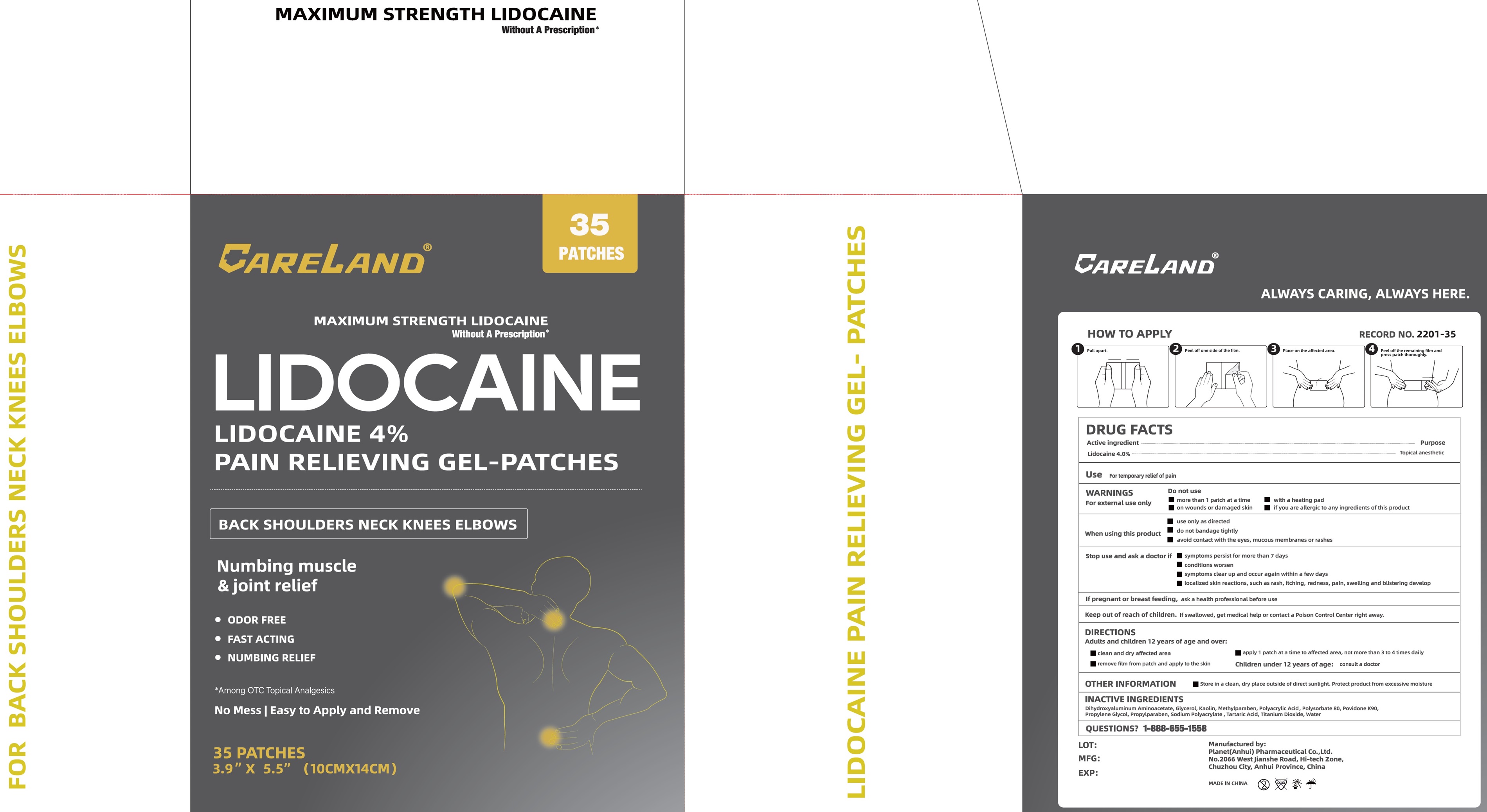 CARELAND Lidocaine Gel Patch, 18 Count Maximum Strength Pain Patches for Muscle Relief in Neck Knee Back and Shoulders